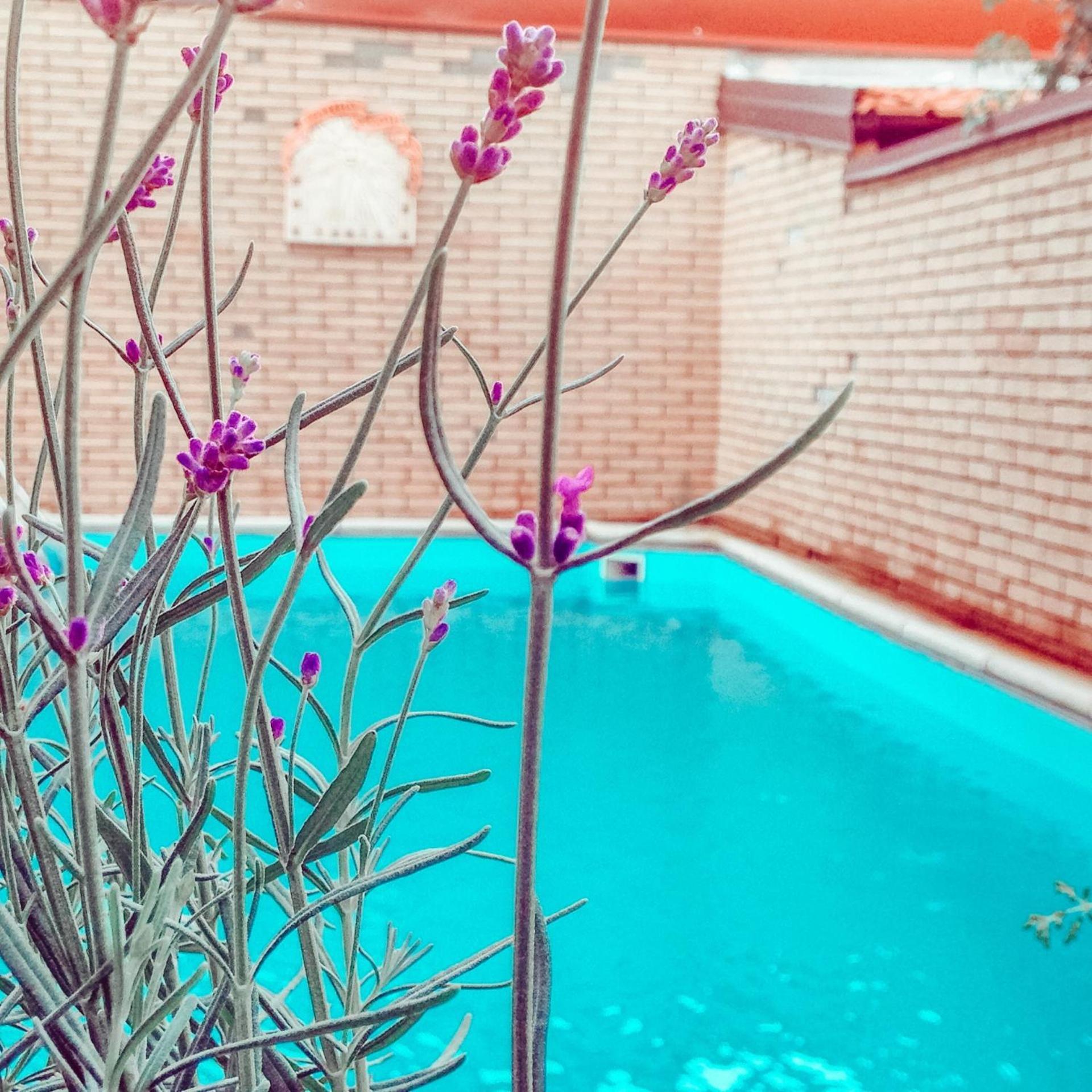 La Villa Di Bambi Vanzago Esterno foto